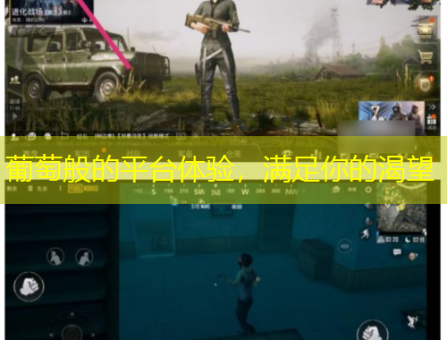 葡萄般的平臺(tái)體驗(yàn)，滿足你的渴望