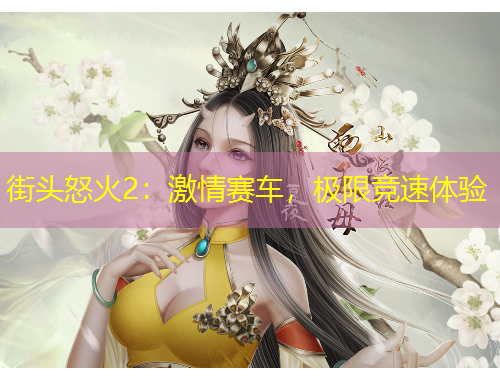 街頭怒火2：激情賽車(chē)，極限競(jìng)速體驗(yàn)