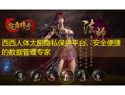 西西人體太膽隱私保護(hù)平臺，安全便捷的數(shù)據(jù)管理專家