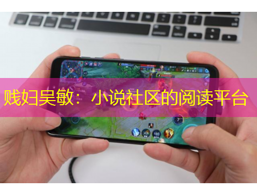 賤婦吳敏：小說社區(qū)的閱讀平臺