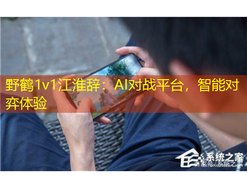 野鶴1v1江淮辭：AI對戰(zhàn)平臺，智能對弈體驗