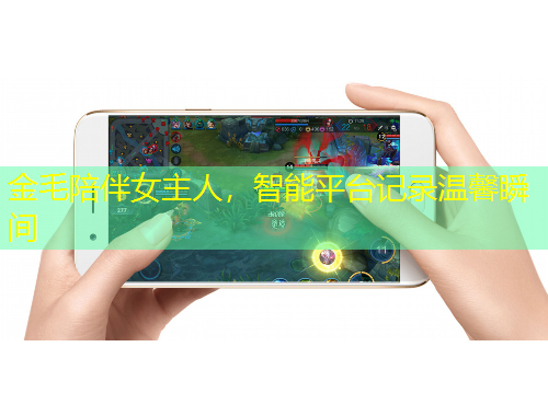 金毛陪伴女主人，智能平臺(tái)記錄溫馨瞬間