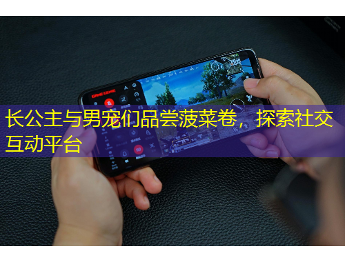 長公主與男寵們品嘗菠菜卷，探索社交互動平臺