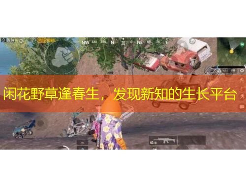 閑花野草逢春生，發(fā)現(xiàn)新知的生長(zhǎng)平臺(tái)