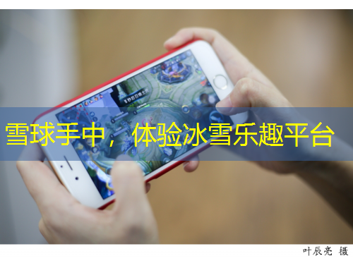 雪球手中，體驗(yàn)冰雪樂趣平臺(tái)