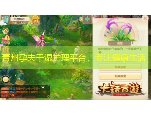 青州孕夫干濕護(hù)理平臺，專注健康生活