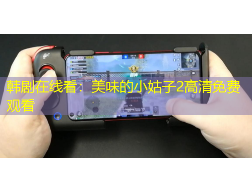 韓劇在線看：美味的小姑子2高清免費(fèi)觀看