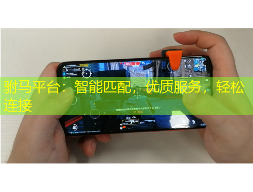 駙馬平臺：智能匹配，優(yōu)質服務，輕松連接