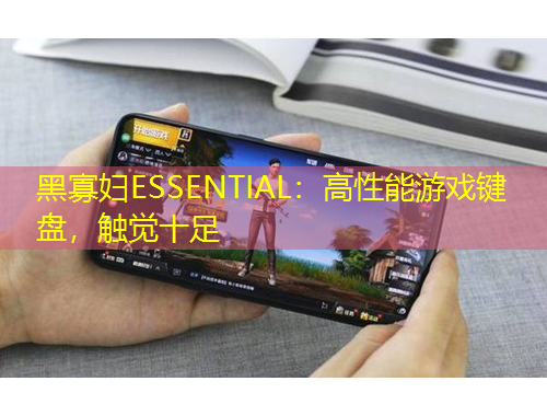 黑寡婦ESSENTIAL：高性能游戲鍵盤，觸覺十足