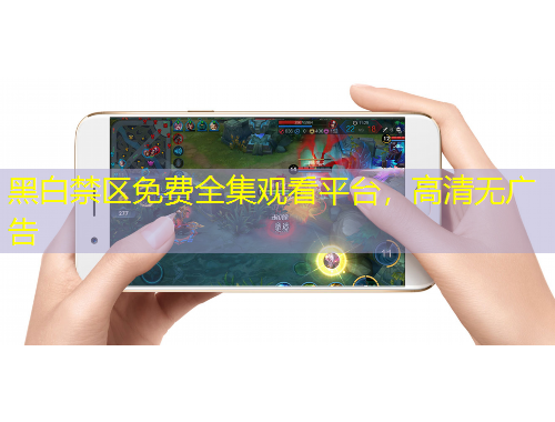 黑白禁區(qū)免費全集觀看平臺，高清無廣告