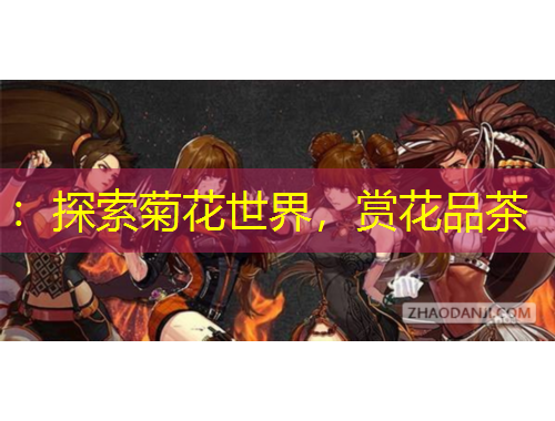 ：探索菊花世界，賞花品茶